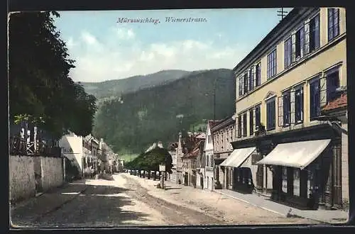 AK Mürzzuschlag, Wienerstrasse mit Geschäften und Bergblick