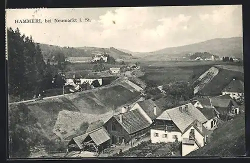 AK Hammerl bei Neumarkt, Ortsansicht mit Fernblick aus der Vogelschau