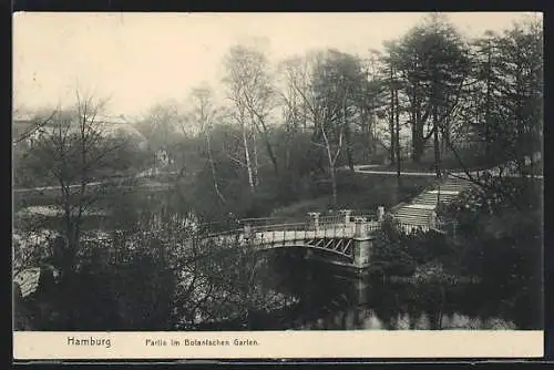 AK Hamburg-St.Pauli, Partie im Botanischen Garten