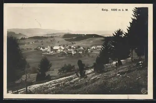 AK Saig, Ortsansicht von einem Hügel aus
