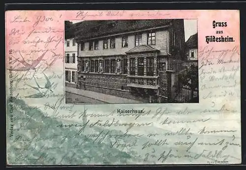 AK Hildesheim, Kaiserhaus, Schwalben
