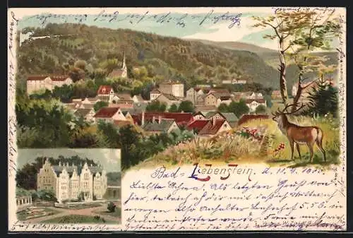 Lithographie Bad Liebenstein, Totalansicht, Schloss Altenstein