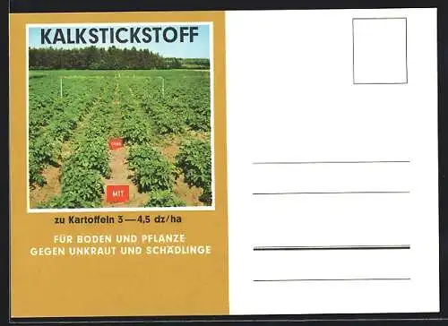 AK Visualisierung des Effekts von Kalkstickstoff auf Kartoffeln, Reklame