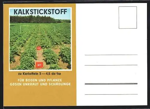 AK Visualisierung des Effekts von Kalkstickstoff auf den Kartoffelanbau, Reklame