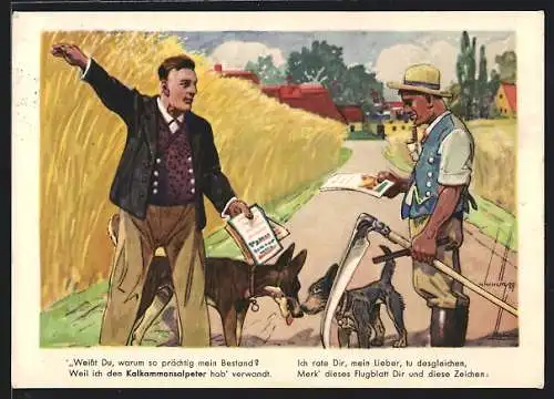 AK Bauer gibt mit seinem Getreide an, Reklame für Kalkammonsalpeter