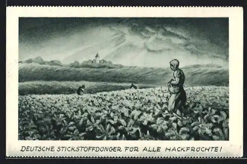 AK Reklame für Deutsche Stickstoffdünger für alle Hackfrüchte