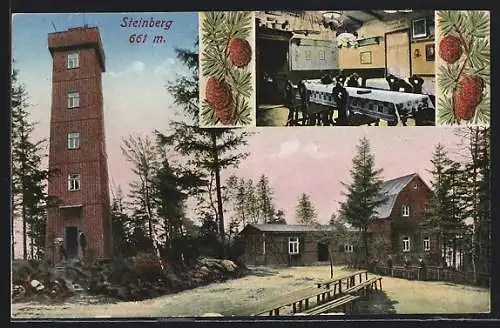 AK Rodewisch, Aussichtsturm Steinberg & Gasthaus