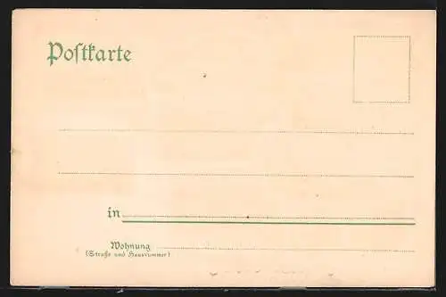 Lithographie Oelsnitz / Vogtland, Gruss aus dem Vogtland, Treuen, Adorf, Falkenstein