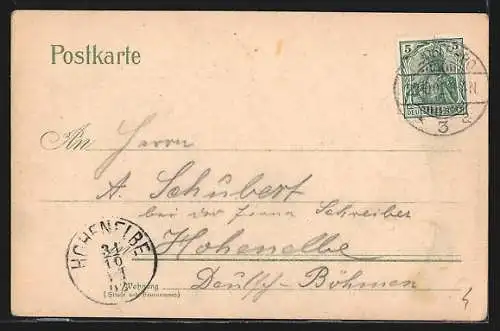 Lithographie Heidelberg / Neckar, Totalansicht