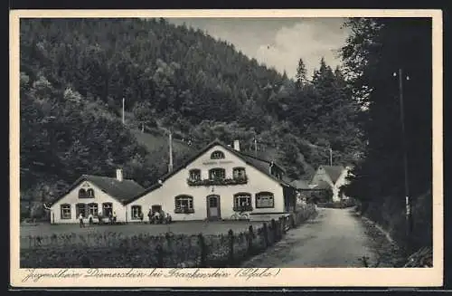 AK Frankenstein / Pfalz, Jugendheim Diemerstein