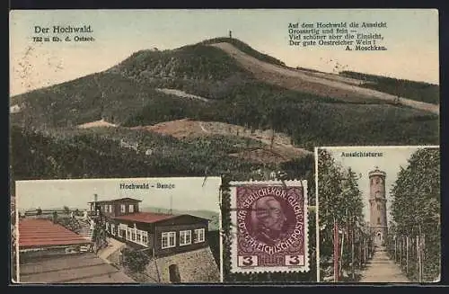 AK Oybin, Gasthof Hochwald-Baude und Aussichtsturm