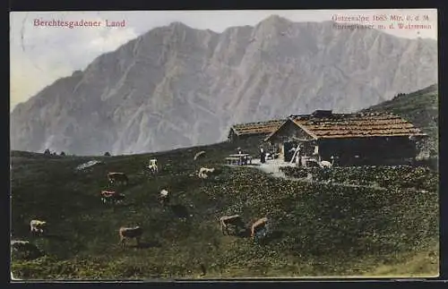 AK Berchtesgaden, Gotzenalpe mit Blick auf den Watzmann
