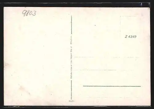 AK Mylau, Ortsansicht