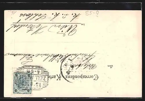 AK Zell a. See, Ortsansicht gegen das steinerne Meer