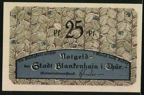 Notgeld Blankenhain /Th., 25 Pfennig, Blatt-Ornamente, Am Pfeifenteich