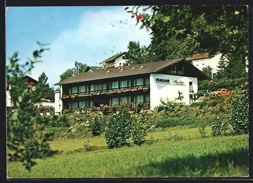 AK Bodenmais /Bayer. Wald, Pension Stiller, Unterlohwies 5