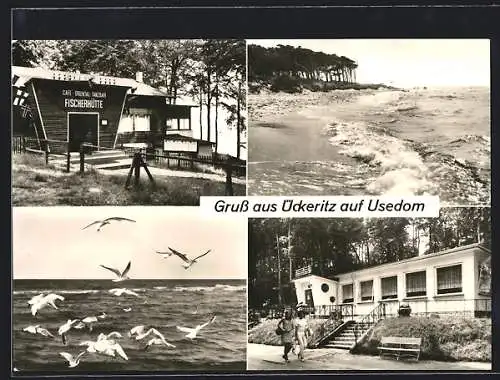 AK Ückeritz, Cafe Fischerhütte und Strandklause, Ostsee mit Möwen