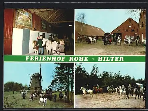 AK Lathen /Emsland, Ferienhof Rohe, Hilter 3