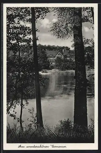 AK Tiefensee / Werneuchen, Am Gamensee