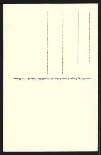 AK Schneeberg i. Sa., Ortspanorama