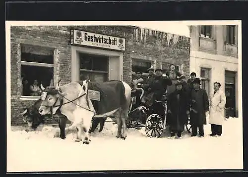 Foto-AK Wien, Gastwirtschaft Josef Stasta, Engerthstrasse 92, Ochsengespann im Schnee