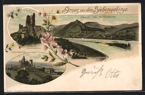 Lithographie Siebengebirge, Aussicht vom Rolandsbogen auf den Fluss, Ruine Drachenfels, die Drachenburg