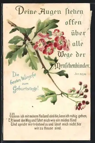 AK Sinnspruch, der Herr kennt die Seinen, II. Tim. 2.19