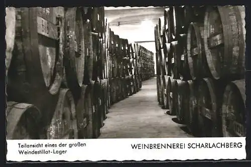 AK Büdesheim / Bingen, Weinbrennerei Scharlachberg, Grosses Weindestillat-Lager
