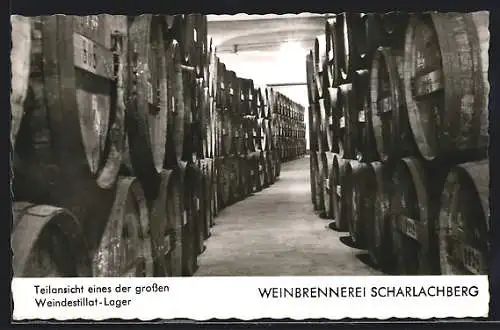 AK Scharlachberg, Weinbrennerei, Teilansicht eines der grossen Weindestillat-Lager