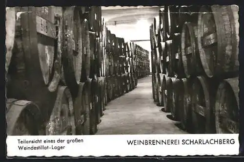 AK Büdesheim / Bingen, Weinbrennerei Scharlachberg, Grosses Weindestillat-Lager