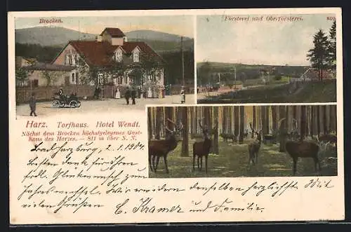AK Torfhaus / Harz, Hotel Wendt mit Brocken, Försterei und Oberförsterei