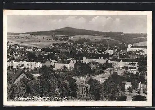 AK Rodewisch i. V., Blick zum Steinberg