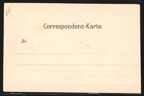 AK Ferleiten, Blick ins Käferthal, Trauner-Alpe