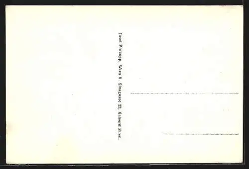 AK Fusch an der Grossglocknerstrasse, Strassenansicht mit Kirche aus der Vogelschau