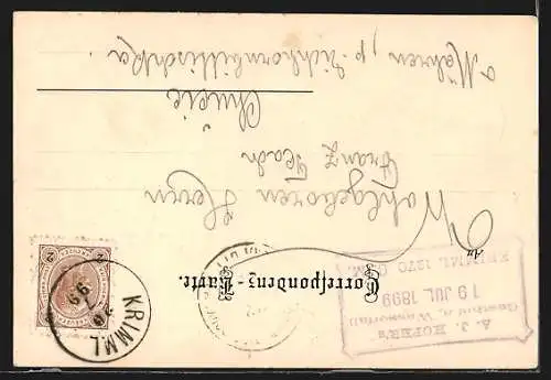 AK Krimml, Hofer`s Hotel u. unterer Fall