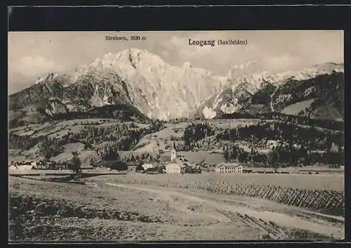 AK Leogang, Totalansicht mit Birnhorn