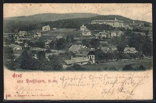 AK Pressbaum /N.-Oe., Blick auf verstreute Ortschaft