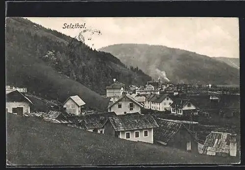 AK Selzthal, Panoramablick auf den Ort