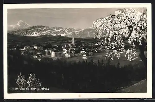 AK Bad Hall /Ob.-Öst., Teilansicht vom Amberg