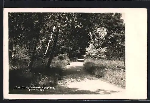 AK Maria-Enzersdorf, Erholungsheim Wällischhof, Parkpartie