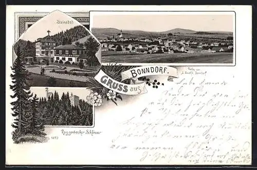 Lithographie Bonndorf, Steinabad, Roggenbacher Schlösser, Ortsansicht