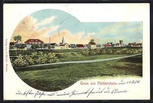 AK Pfeddersheim, Gesamtansicht