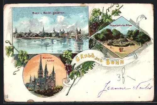 Lithographie Bonn, Ortsansicht von Beuel aus, Poppelsdorfer Allee, Münster-Kirche