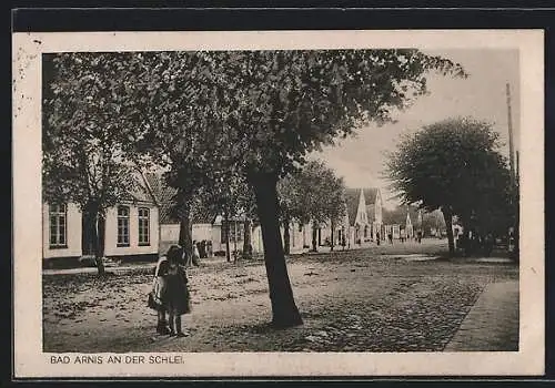 AK Bad Arnis /Schlei, Strassenpartie