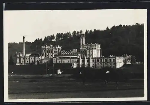 AK Rheinfelden, Blick auf die Brauerei Feldschlösschen