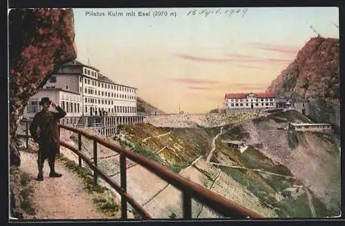 AK Pilatus, Pilatus Kulm mit Esel