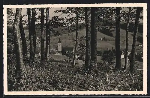 AK Degersheim, Ausblick vom Föhrenwald