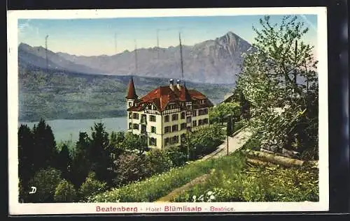 AK Beatenberg, Hotel Blümlisalp