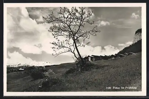 AK Fidaz, Ortsansicht im Frühling