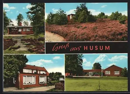 AK Husum / Nienburg, Gebäudeansichten